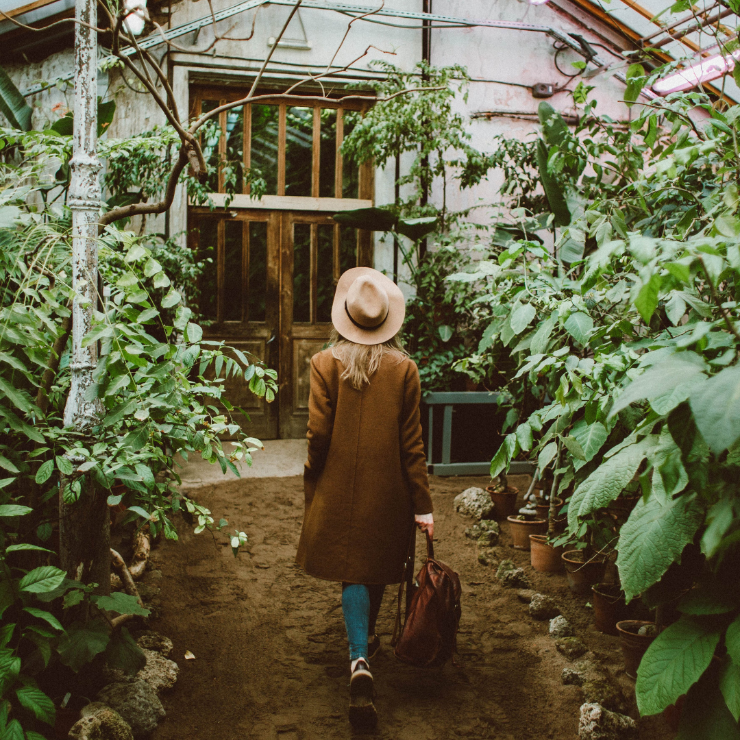 Si te gustan las plantas... ESTE POST ES PARA TI